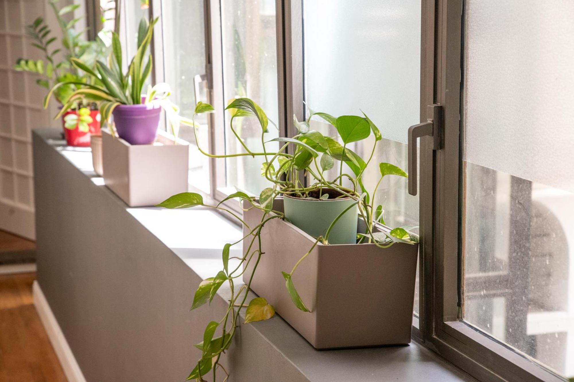 Campo De Fiori Home Рим Экстерьер фото